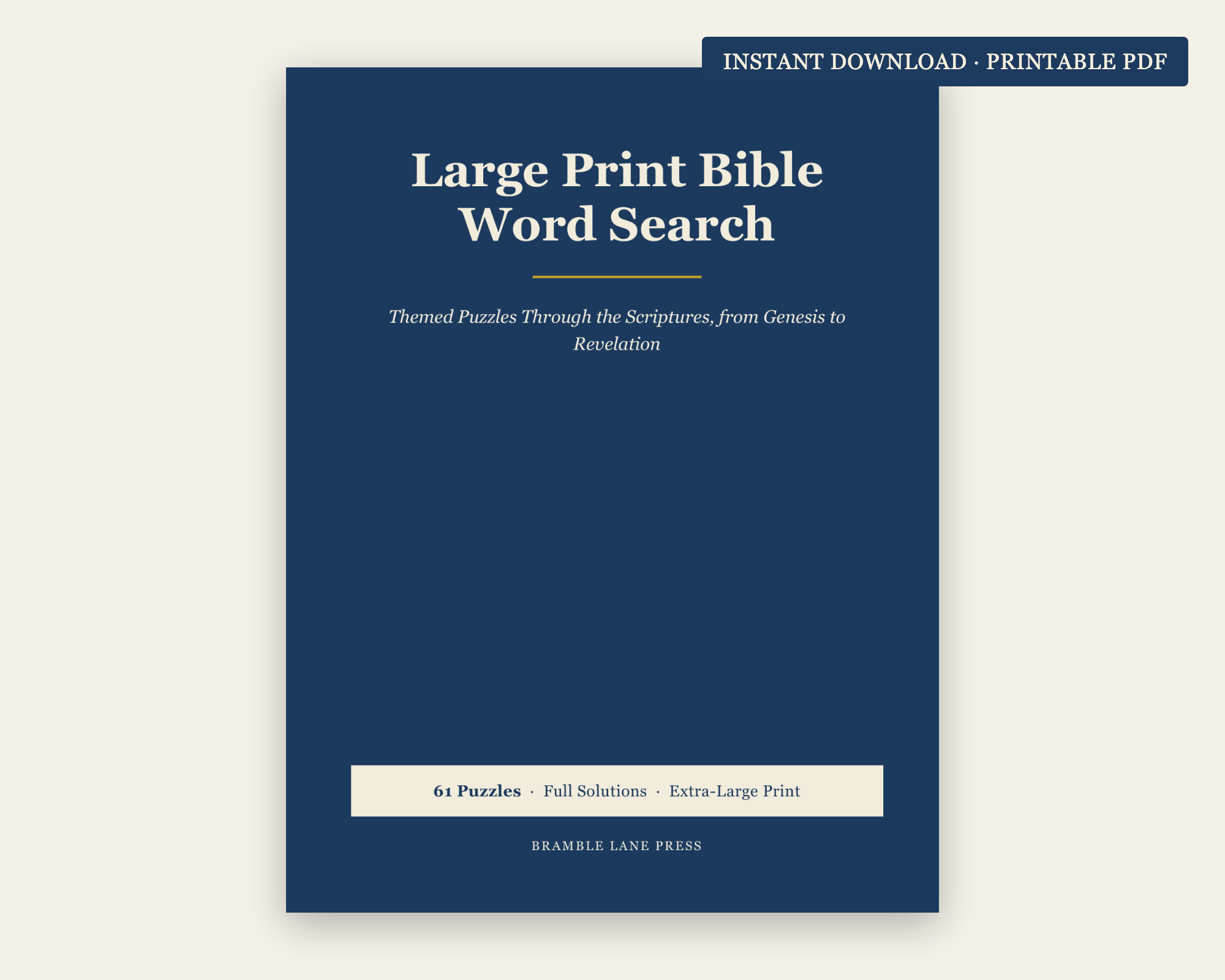Bible Word Search Large Print preview