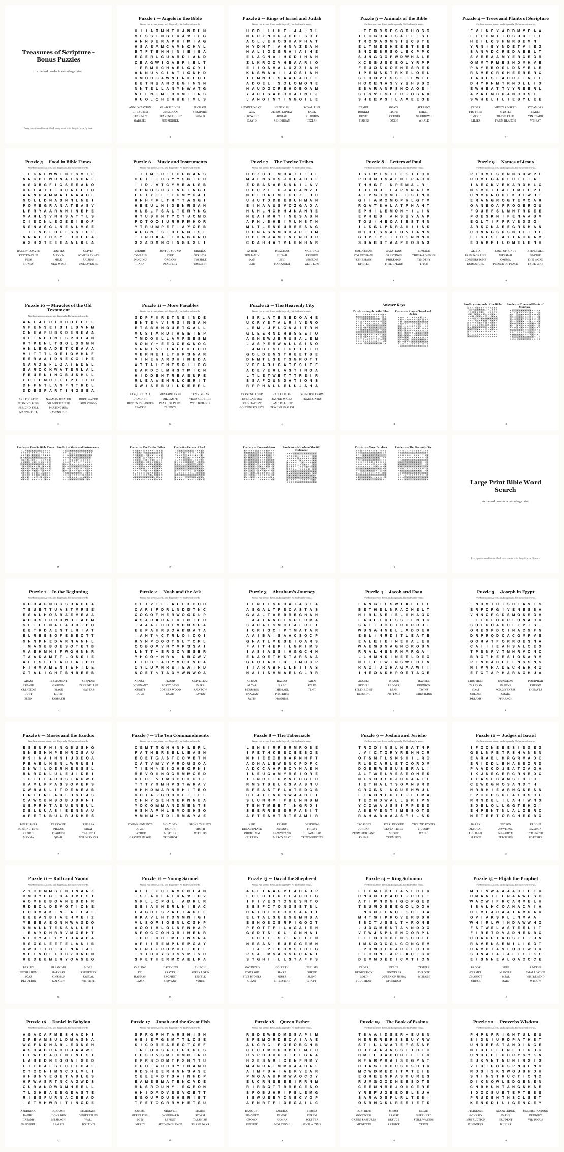 Bible Word Search Large Print &mdash; thumbnails of every page