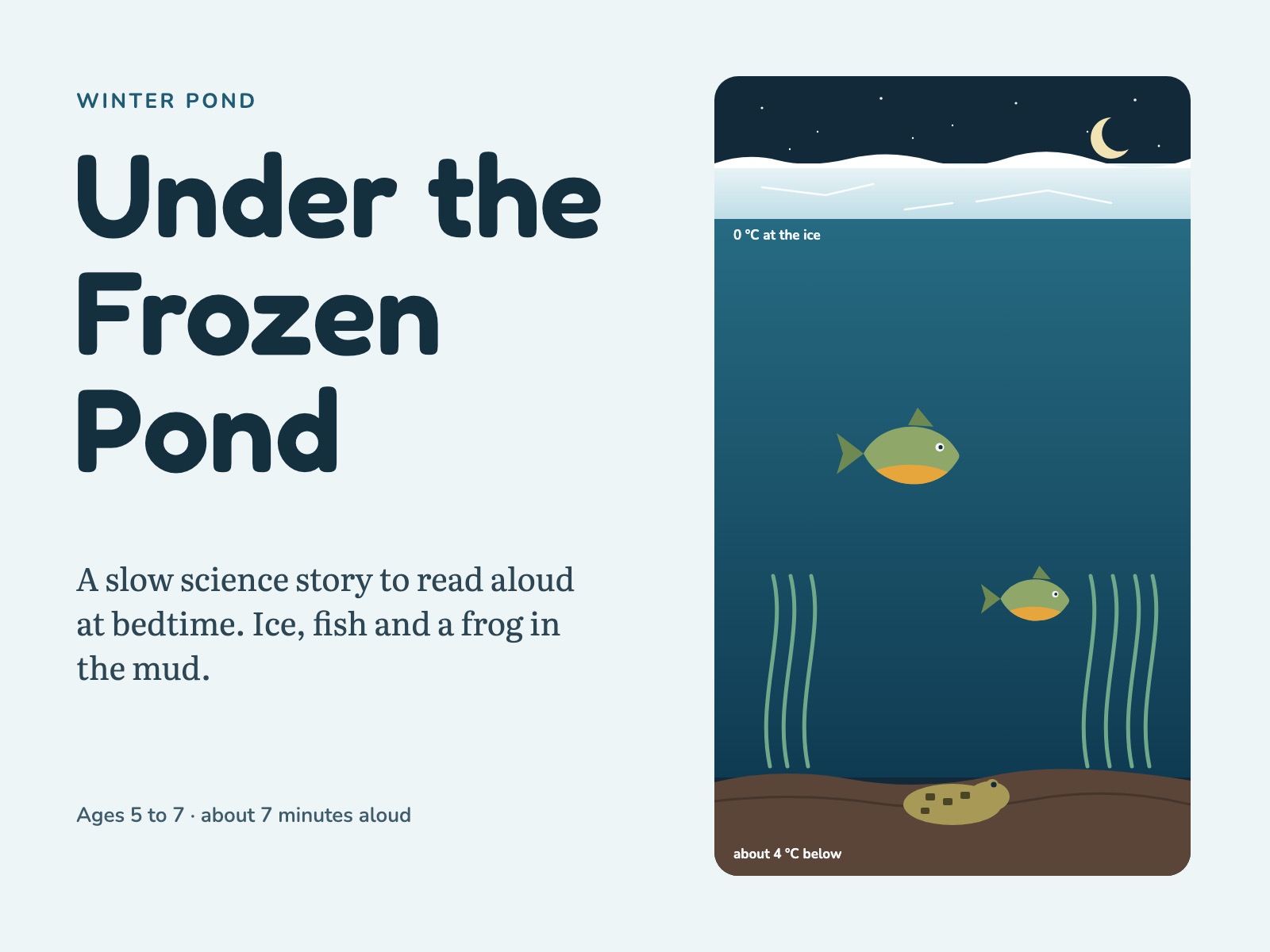 Frozen Pond Bedtime Story for Ages 5-7: A Slow Winter Science Story — page preview