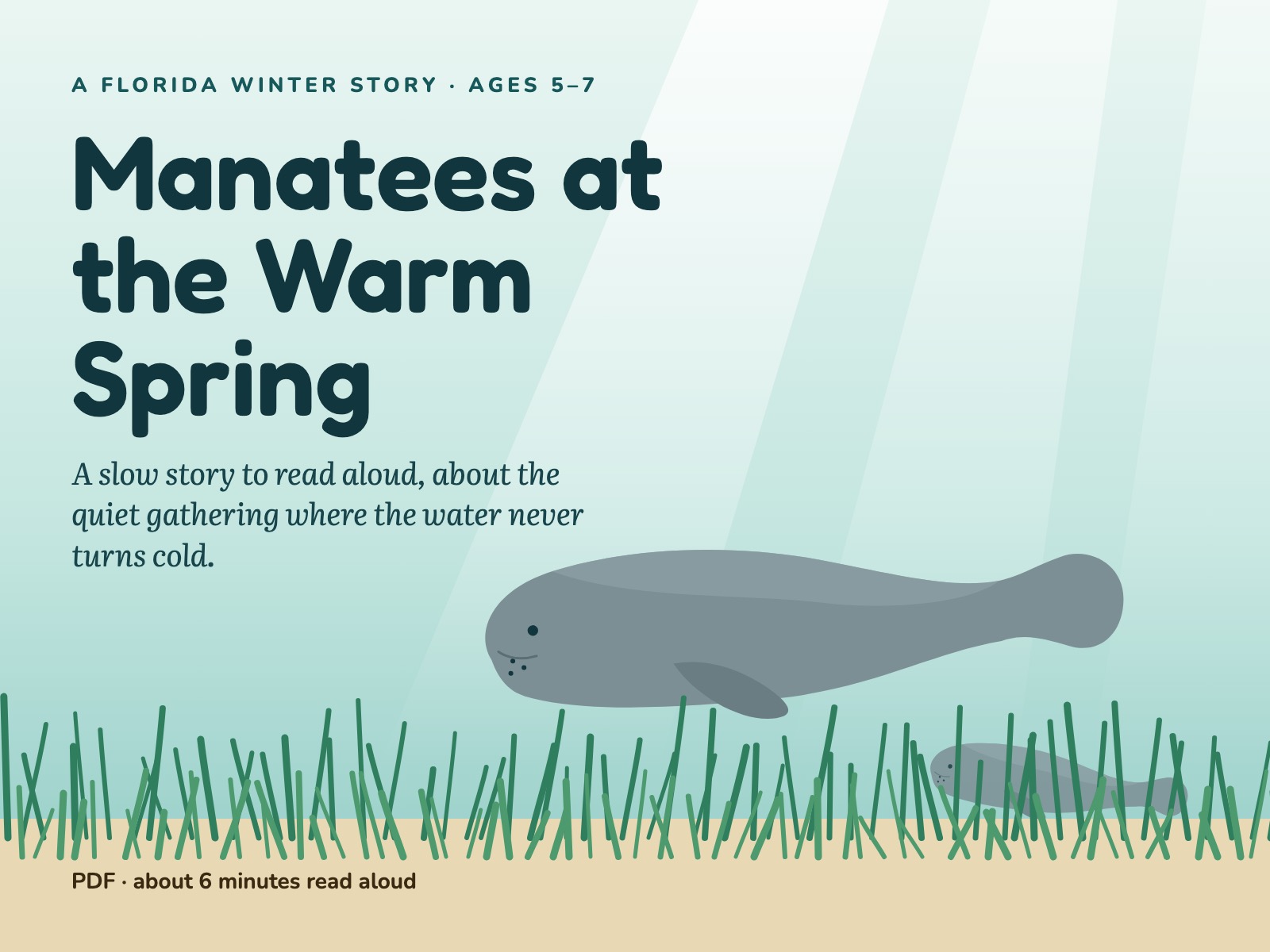 Manatee Bedtime Story for Ages 5-7: A Slow Florida Winter Story preview