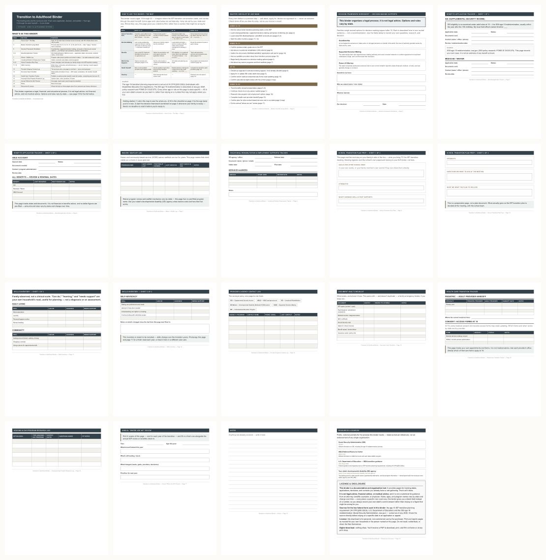 Transition to Adulthood Planner Special Needs — thumbnails of every page